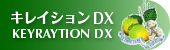 �C�ɂȂ�����΍� �u�L���C�V����DX�v